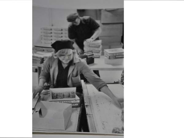 Historikbild från 1981<br>Elof Karlsson med dottern Viola. 